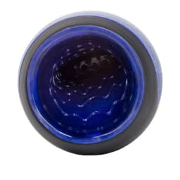 Apollo Power Stroker Blue, image 7