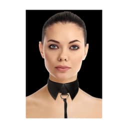 Classic Collar w/ Leash Bl, image 4