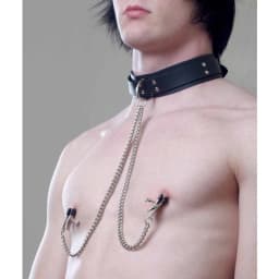 Collar W/ Nipple Clamps, image 2