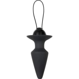 Evolved Plug & Play, image 2