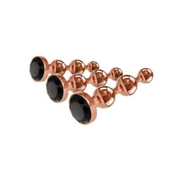 (wd) Gender X Gold Digger Set - Image 4