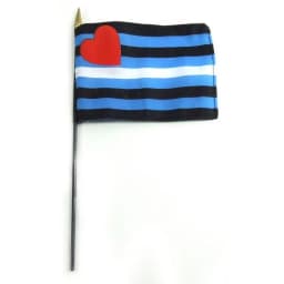 Leather Stick 4 X 6 Flag, image 1