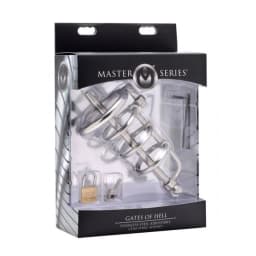 Master Series Gates of He w/ Urethral Plug, image 5