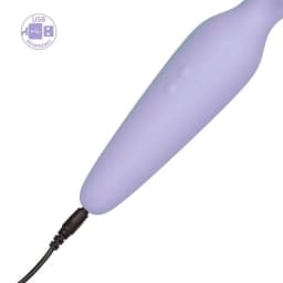 Miracle Massager Recharge, image 2