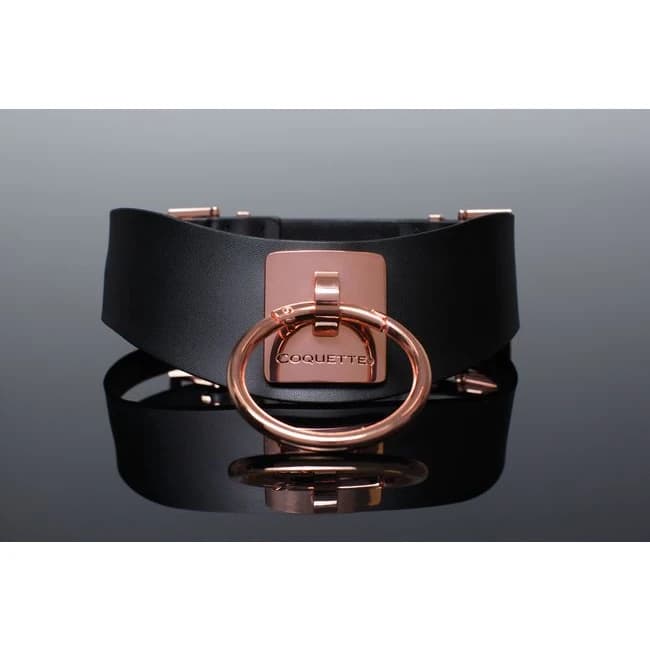 (wd) Pleasure Collar Black & R Gold - Image 3