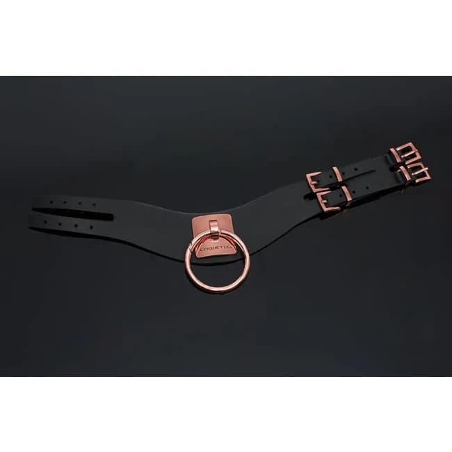 (wd) Pleasure Collar Black & R Gold - Image 5