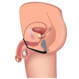 (wd) Prostatic Play Stimulator Cock & Ball Strap - Image 5