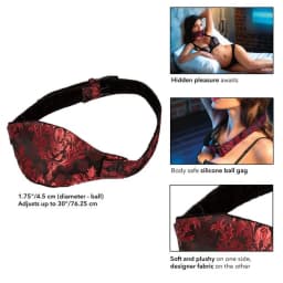 (wd) Scandal Hidden Pleasure B Gag - Image 5