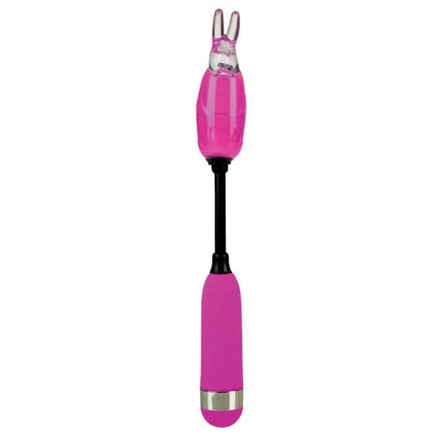(wd) Shanes World Campus Buzz Purple - Image 1