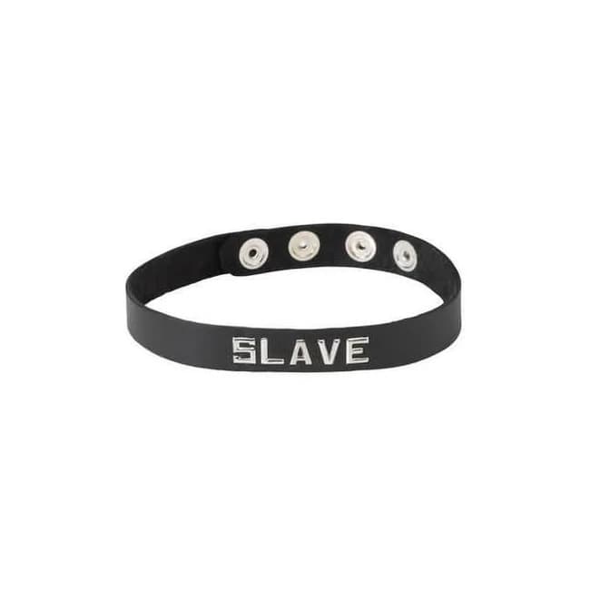(wd) Sm Collar-slave - Image 1