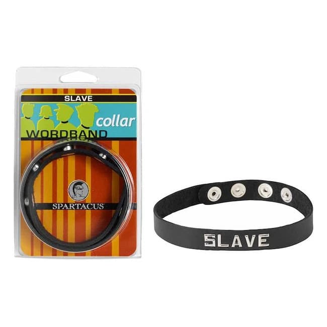 (wd) Sm Collar-slave - Image 2