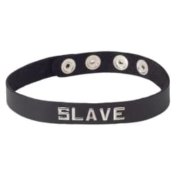 (wd) Sm Collar-slave - Image 3