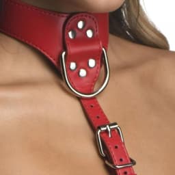 Strict Female Chest Harne S/M Red, image 5