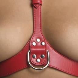 Strict Female Chest Harne S/M Red, image 6