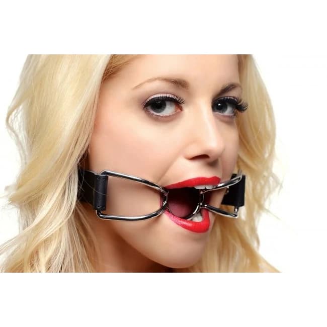(wd) Strict Spider Mouth Gag - Image 1