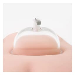 Temptasia Vulva Cup Clear, image 3