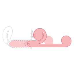 The Snail Vibe, image 3