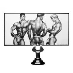 Tom of Finland Anal Plug Silicone, image 4