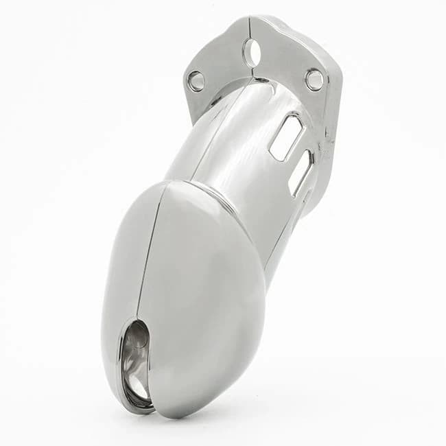 (wd)cb-6000 Kit 3.25in Chrome Cage - Image 3