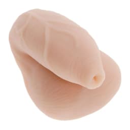 Gender X Uncircumcised Pa Light, image 9