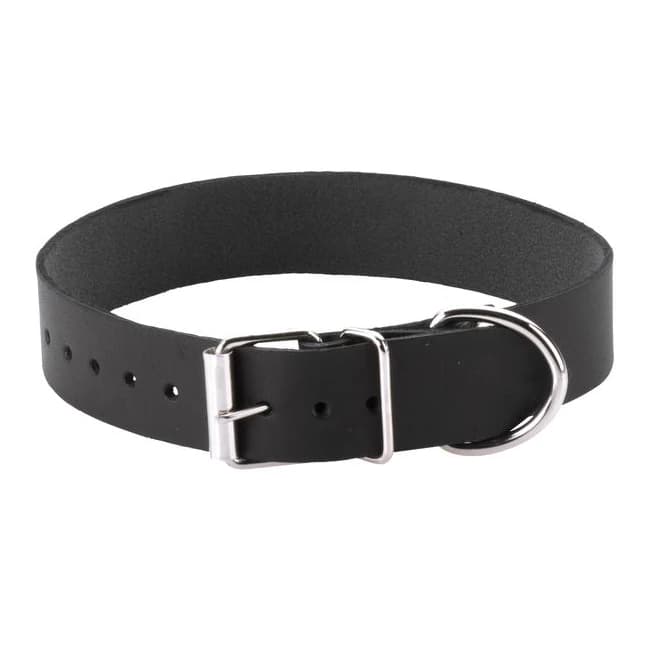 (wd)plain Collar 1in W/buckle Ring - Image 1