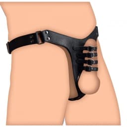 Strict Male Chastity Harne, image 1