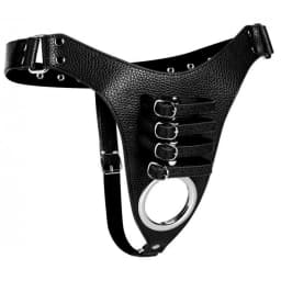 Strict Male Chastity Harne, image 2