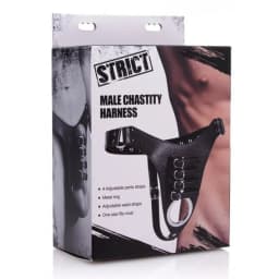 Strict Male Chastity Harne, image 4