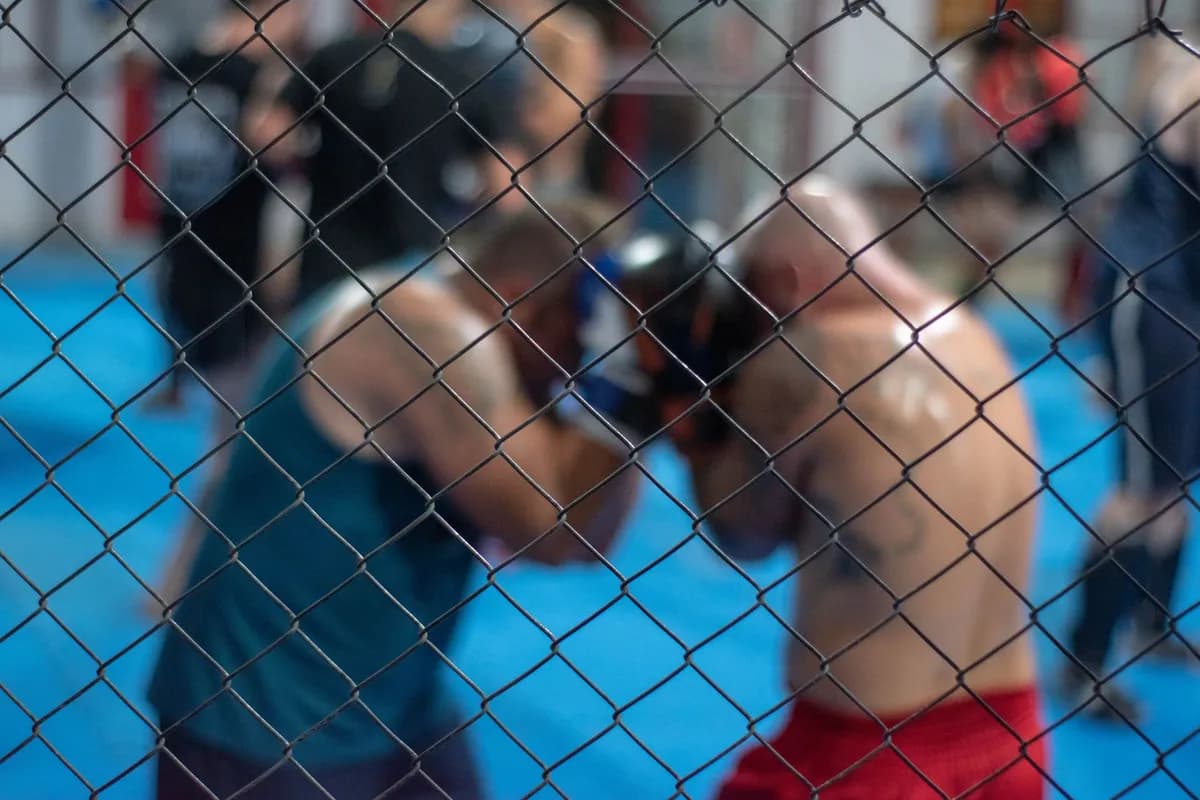 Vance's Childhood Bully Challenges VP to White House Cage Match
