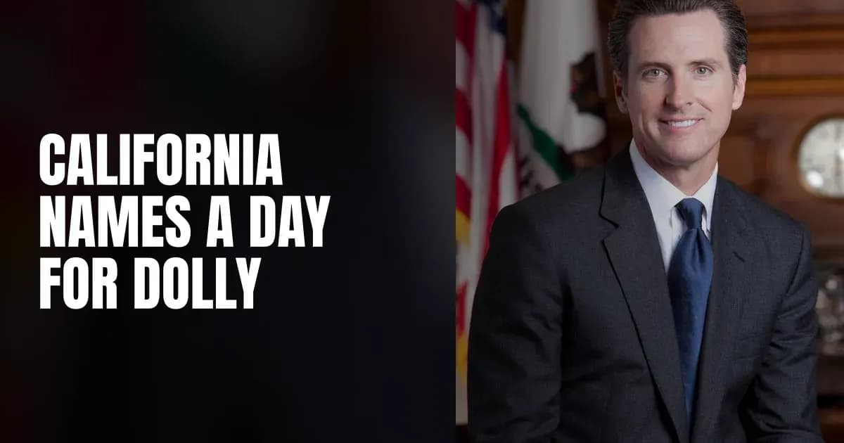 Gavin Newsom