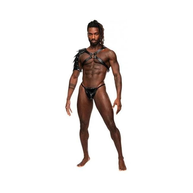 Aquarius Pu Leather Chest Harness w/ Half Sleeve Black O/S, image 1