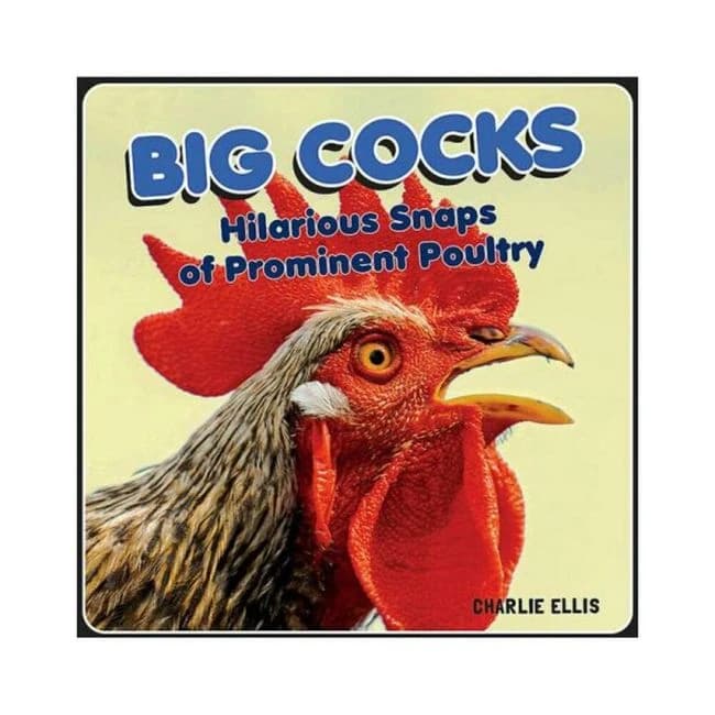 Big Cocks: Hilarious Snaps of Prominent Poultry, image 1
