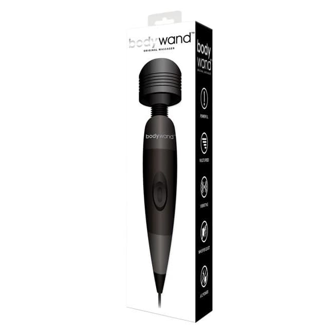Bodywand Plug In, image 1