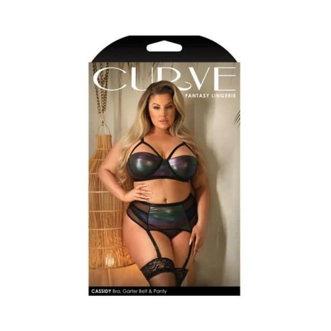Fantasy Lingerie Curve Cassidy Cage Bra, Garter Belt & Panty Black 1xl/2xl, image 1