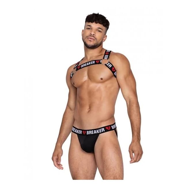 Heartbreaker Harness w/ Large O-Ring Detail Black/red, image 1