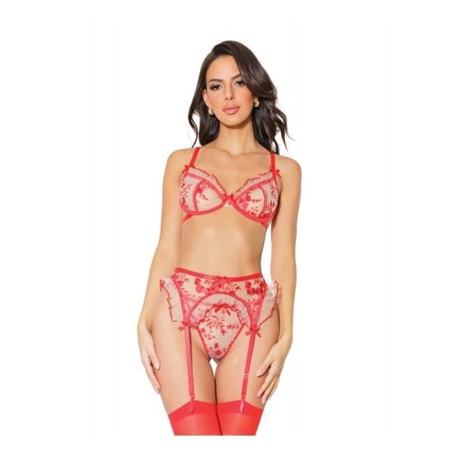 Holiday Embroidered Tulle Bra w/ Ruffled Trim, Garter Belt & G-String Red/nude, image 1