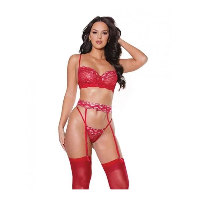 Holiday Metallic Stretch Lace Underwire Bra, Garter Belt & G-String Red/silver Md, image 1