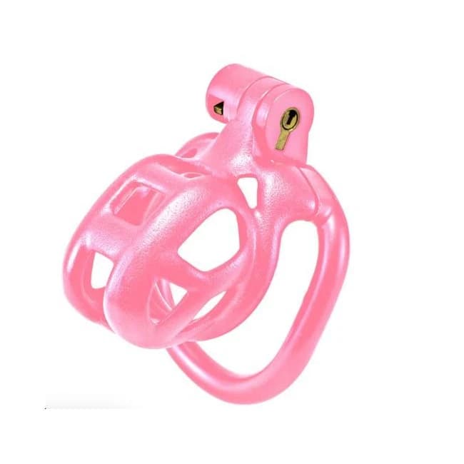 Kink Chastity Series Locking Cock Cage, image 1