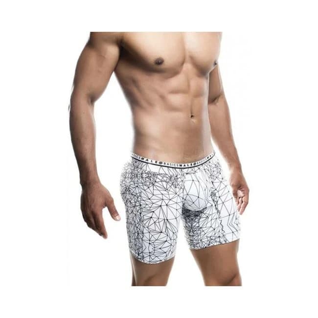 Male Basics Spider Hipster Boxer Brief White/black, image 1
