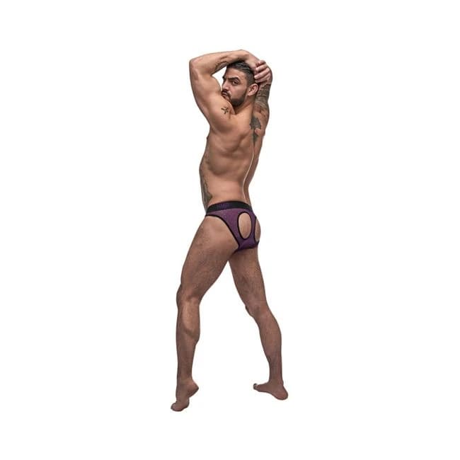 Male Power Airotic Mesh Butt Out Bikini Ppl Medium, image 1