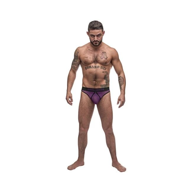 Male Power Airotic Mesh Enhancer Thong Purple Lx, image 1