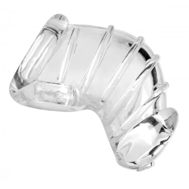 MASTER SERIES DETAINED CHASTITY CAGE - Image 1