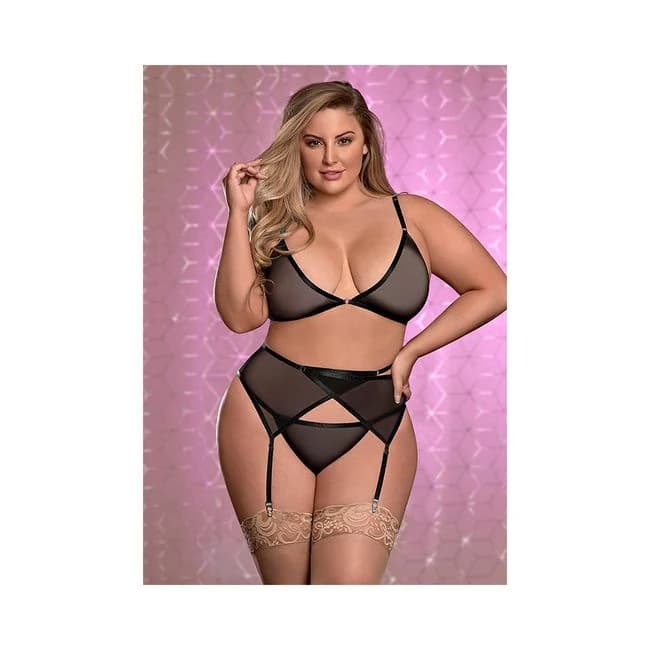 Ms Sheer Mesh Bra Garter & Panty Blk 1 Size Queen, image 1