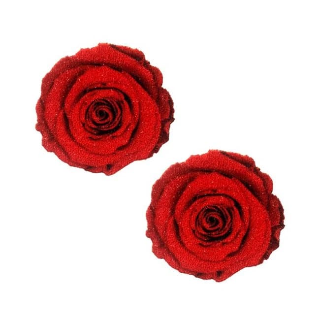 Neva Nude Pasties Enchanted Red Rose Glitter Velvet, image 1