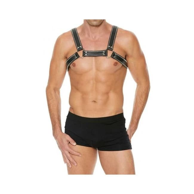 Premium Leather D-Ring Zipper Bulldog Harness S/M Black, image 1