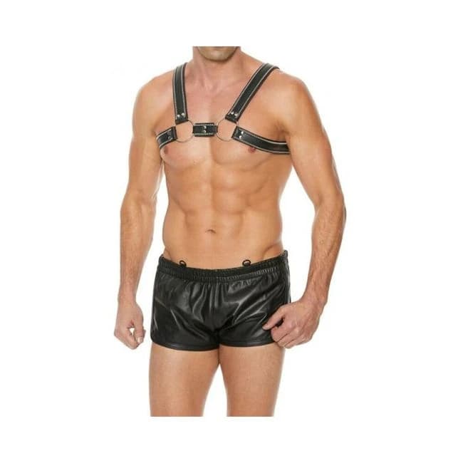 Premium Leather O-Ring Zipper Series Bulldog Harness, image 1