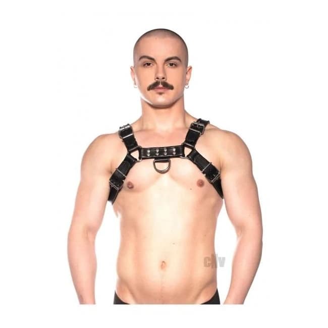 Prowler Red Bull Harness Black, image 1