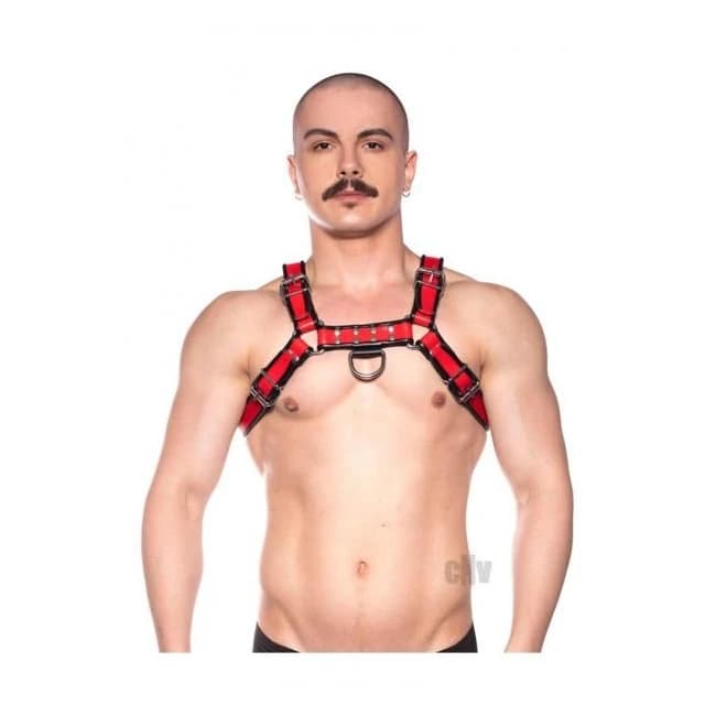 Prowler Red Bull Harness Red, image 1