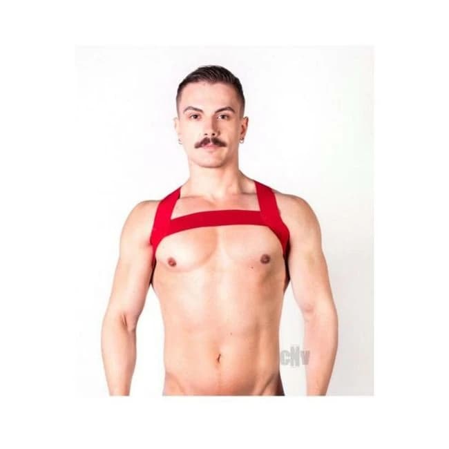 Prowler Red Sports Harness, image 1