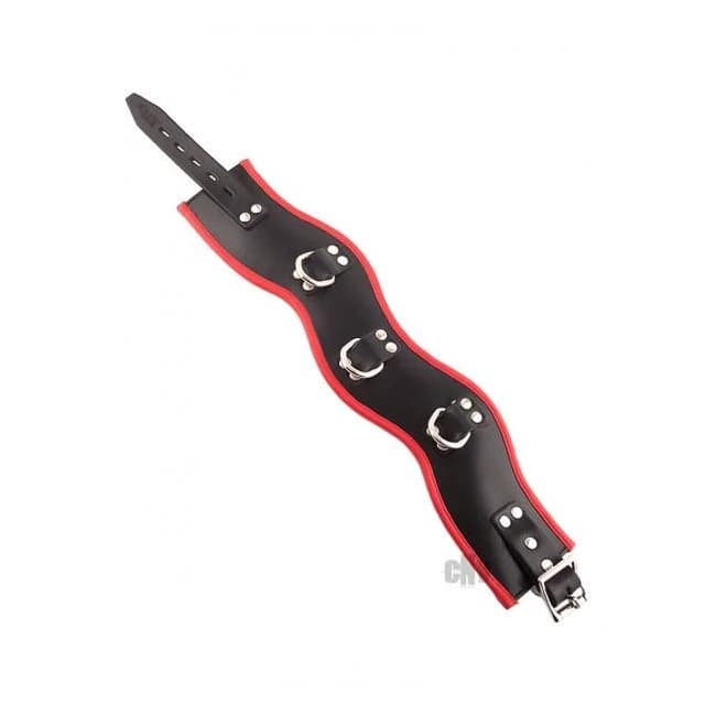 Rouge Leather Posture Collar 3 Ring Black Red, image 1